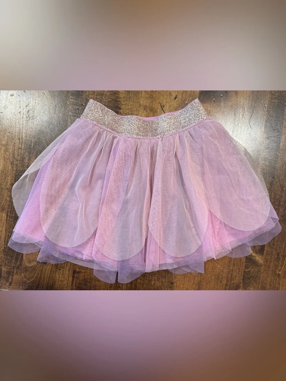 Beautiful Mini Boden Guinea Pig Sweatshirt and Tulle Skirt Set